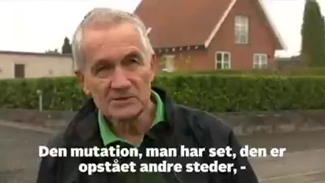 Ingen Grund til at Aflive Mink