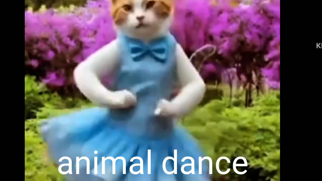 Animal dance cute