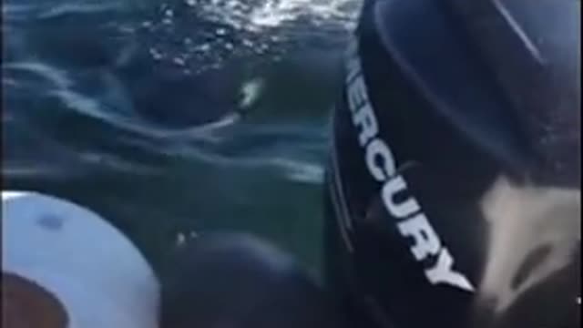 Responder a how did you think it ended before watching 🤔🧐