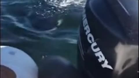 Responder a how did you think it ended before watching 🤔🧐