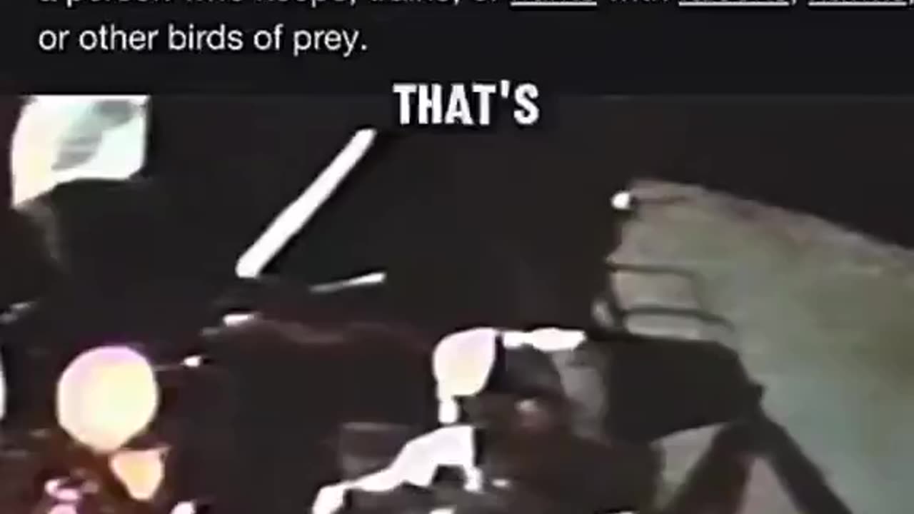 Joe Rogan Proves The Firmament