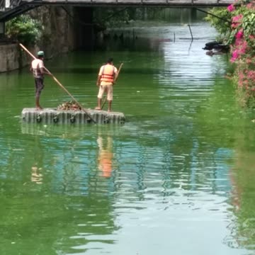 Water pond cleaning most beautiful seen