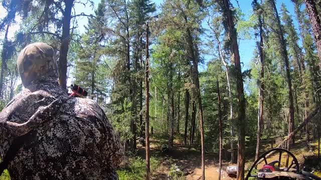 Last Chance Archery Bear - MWP OTR S1.E4