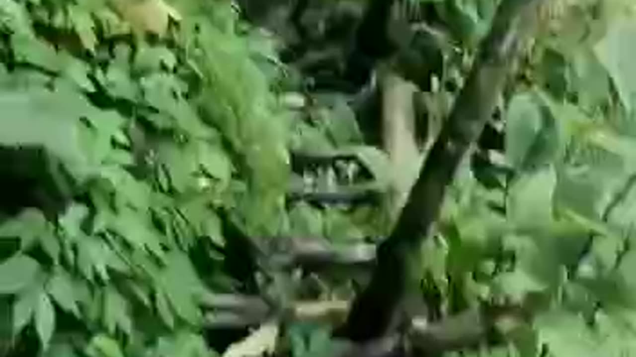 Struggling of our soldiers must watch