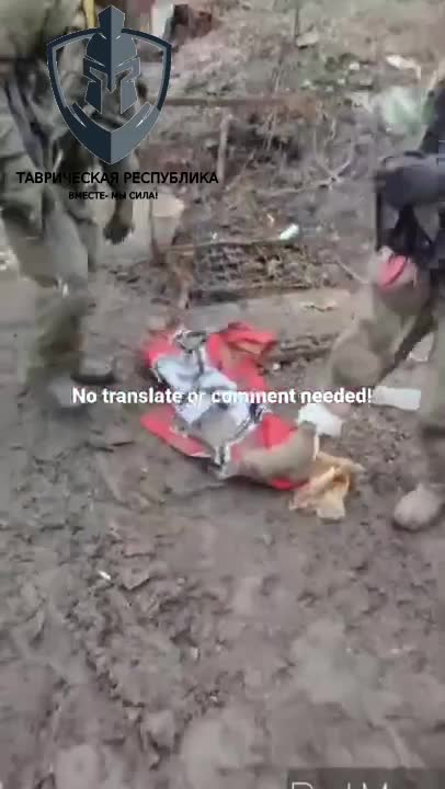 Drapeau nazi trouvé par des militaires Russes en Ukraine