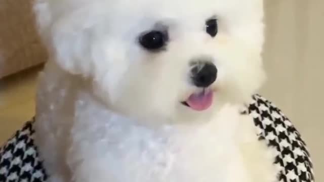 You are a beautiful girl, always been