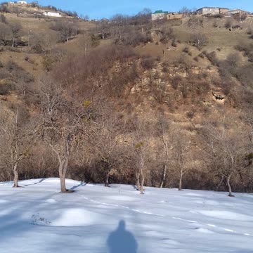 Родное село