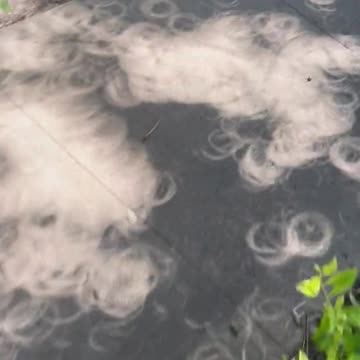 ESTO SUCEDIO DURANTE EL ECLIPSE.