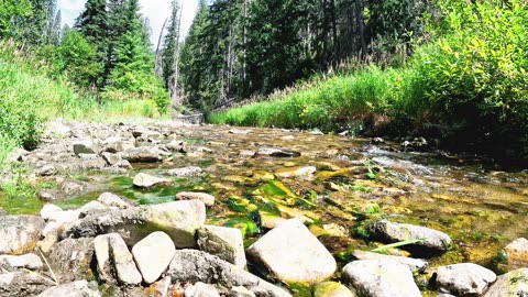 30 minutes by an Idaho stream no loop