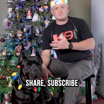 Free Dog Training? It’s a Christmas Miracle!