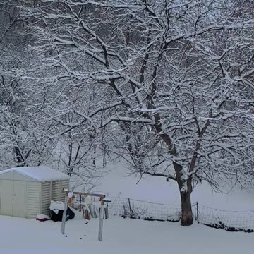 It’s almost the time of the year