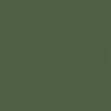 From Nothing to Everything: Start Your Land-Ownership Journey with Ancestry Lands!