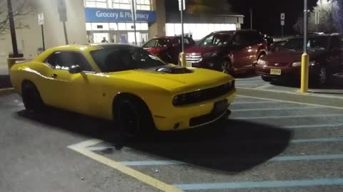 Dodge Challenger by Jack the Irish wolfhound