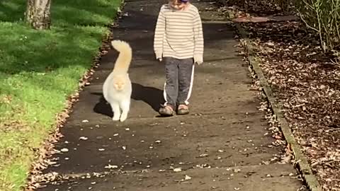 Boy Has Special Friendship With Neighborhood Cat