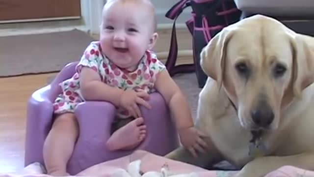 yellow lab and baby pt 2