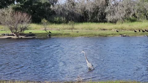 Myakka River State Park