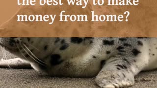 LOOKING FOR A CHANGE? BEST METHOD