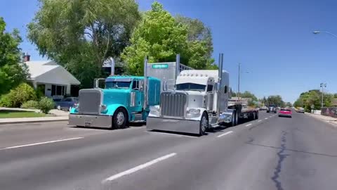 Come to Luncha Street, our truck has never lost