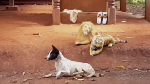 Fake lion vs real dog funny prank🤣🤣🤣