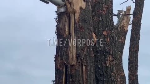 VSU after Russian shelling. One of the shells got stuck in a tree.