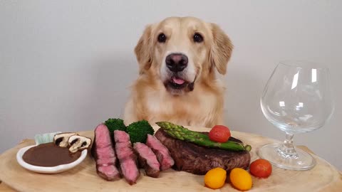 My Dog Eating Show Steak& Wine Asparagus Mukbang