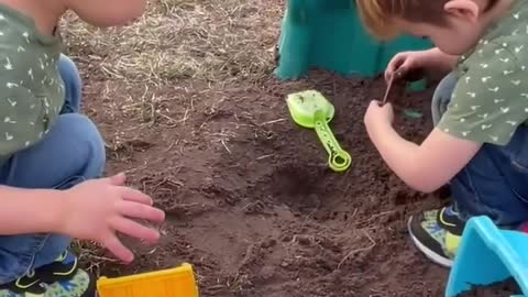 Toddler in Playground Digs Earthworm Out of Mud With Help of His Friend and Shows it OfF