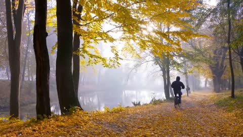 Enchanting Autumn Forests with Beautiful Piano Music