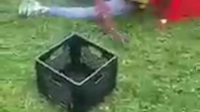 Epic milk crate challenge