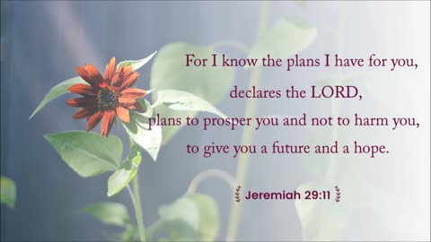 Plan & Purpose
