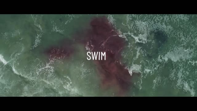 Like Swim Official Trailer