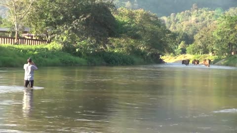 Elephants Ran To Reunion With The Favorite People Who Away For 14 Months - Eleph