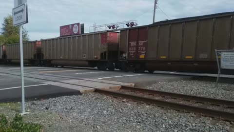 BNSF coal freight train Northbound in Kent, WA on 10/13/2023