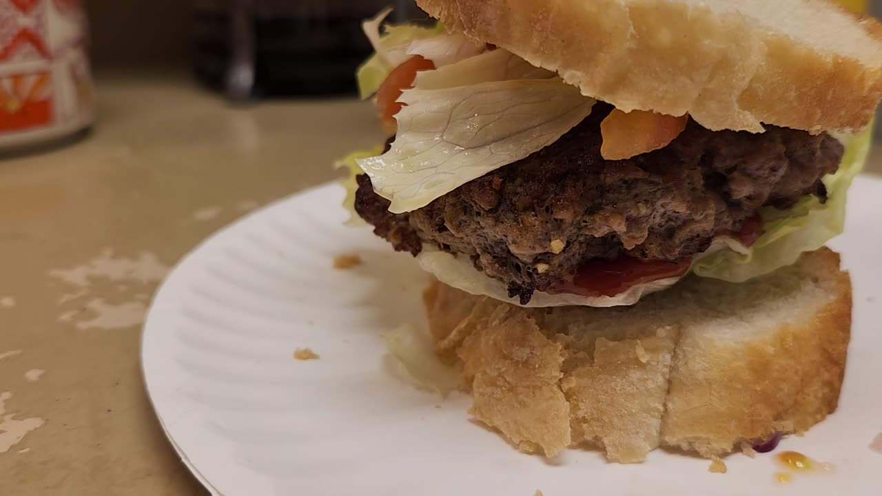 Homemade Burger