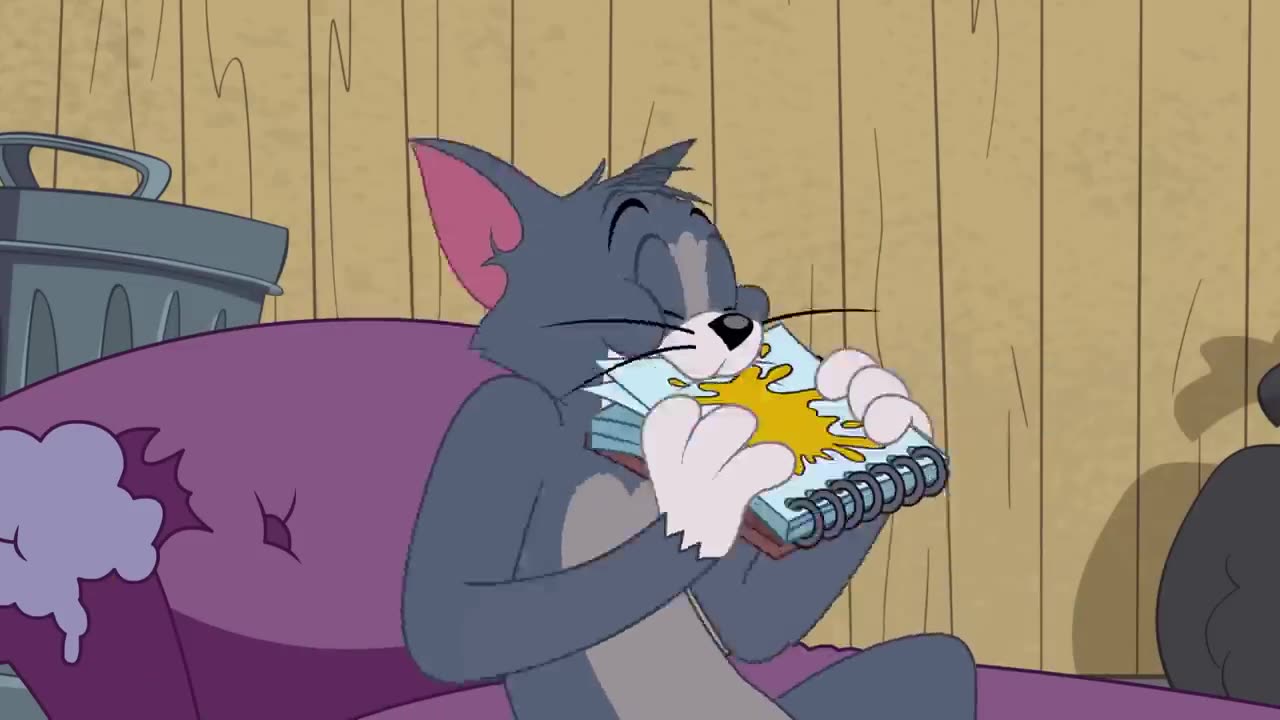 funny tom & jerry