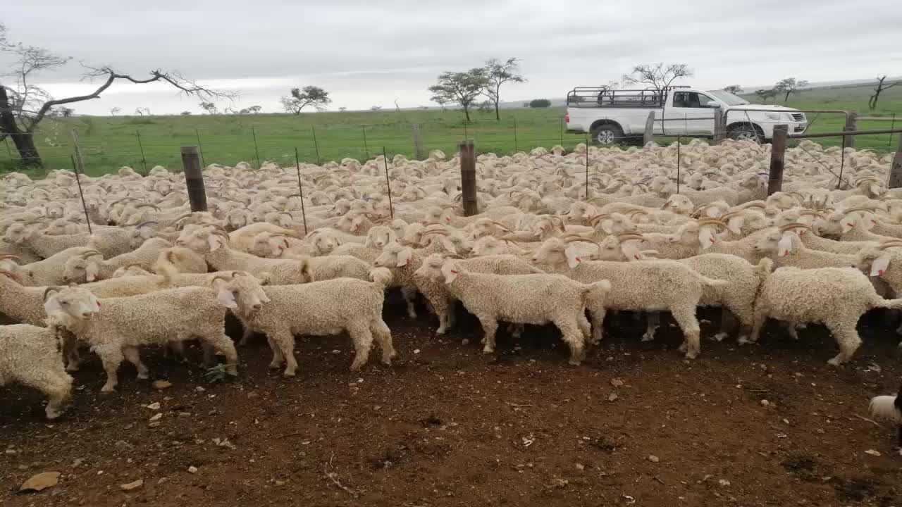 Young farmer needing funding.