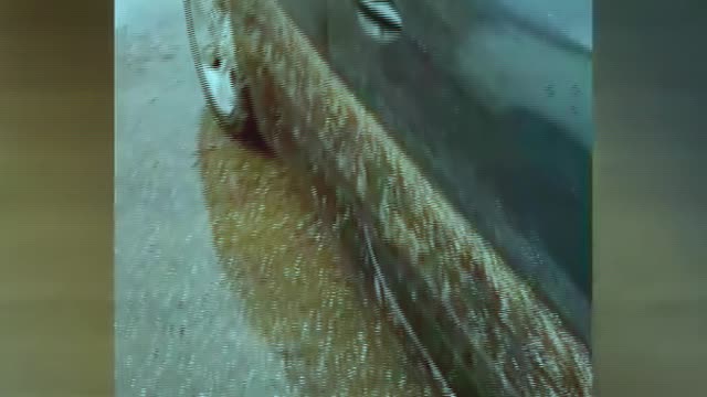 Israel! The whole city is flooded, Record flooding in Rishon LeZion