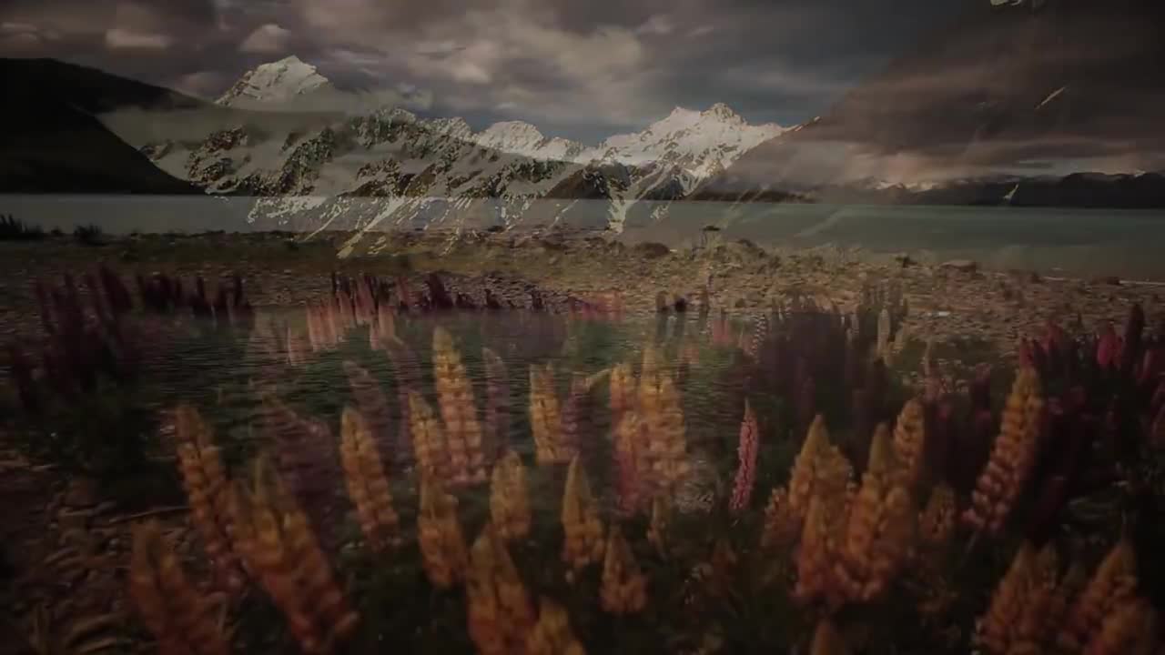 New Zealand, Nature Landscapes (NO SOUND)