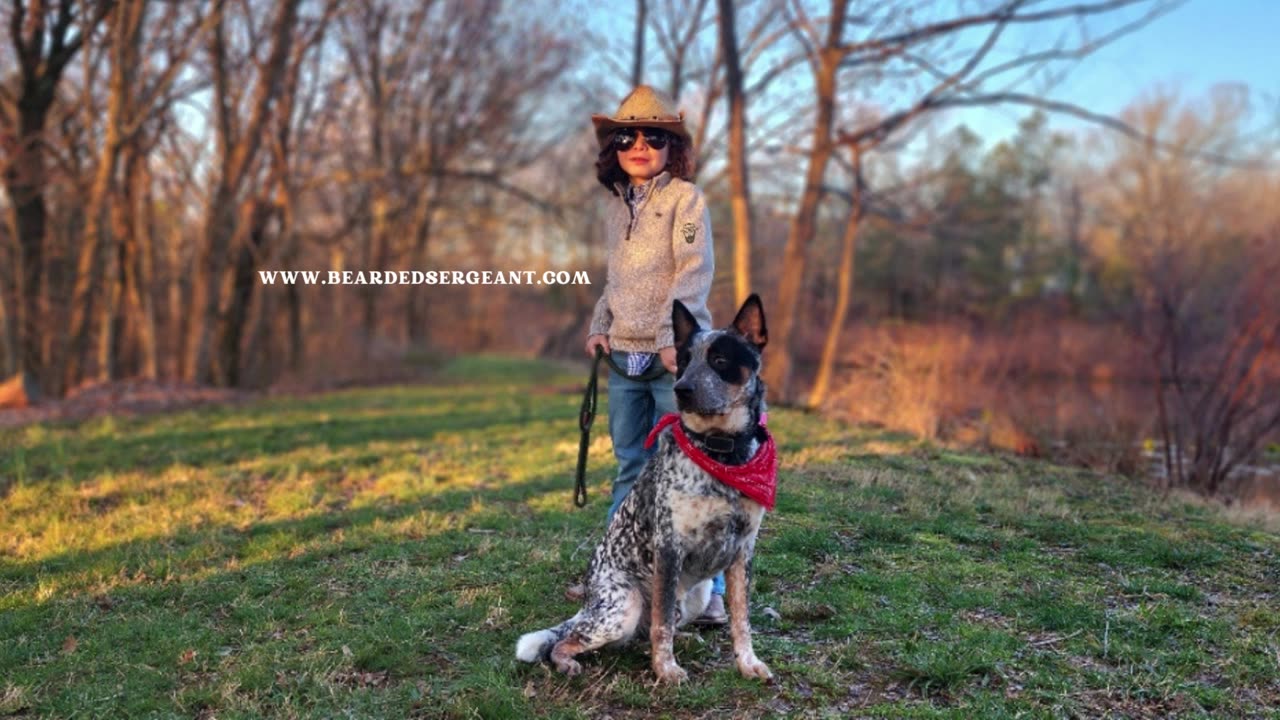 Welcome Our Newest Team Member Tucker The Blue Heeler