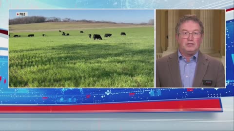 WEF Provision Sneaked Into Omnibus Bill Will Ration Beef Consumption in U.S.