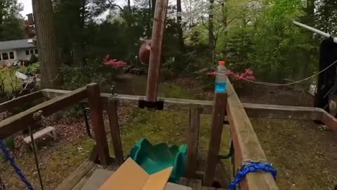 Here's the Most Complex Backyard Rube Goldberg Machine You'll See All Day