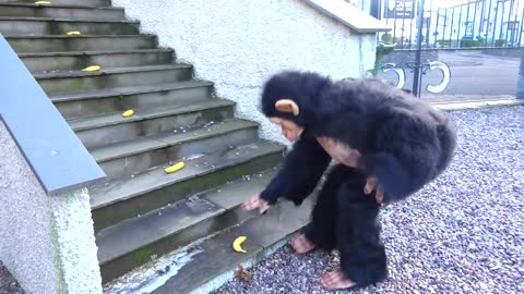 Gaby and Alex playing with Funny Monkey Friend-13