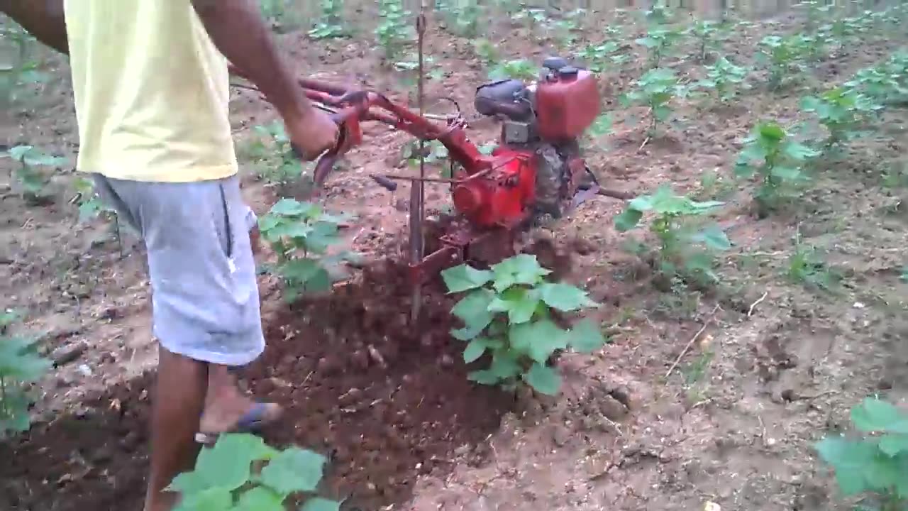 power weeder in cotton intercultivation with leveler attached, 6hp diesel engine(1)