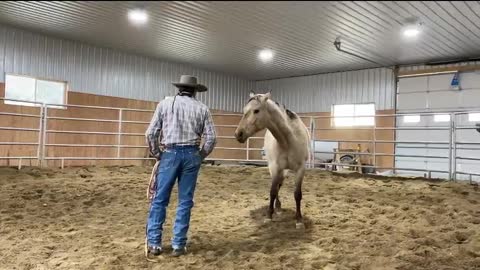 Ramon Castro Horsemanship_Cody_2022April27