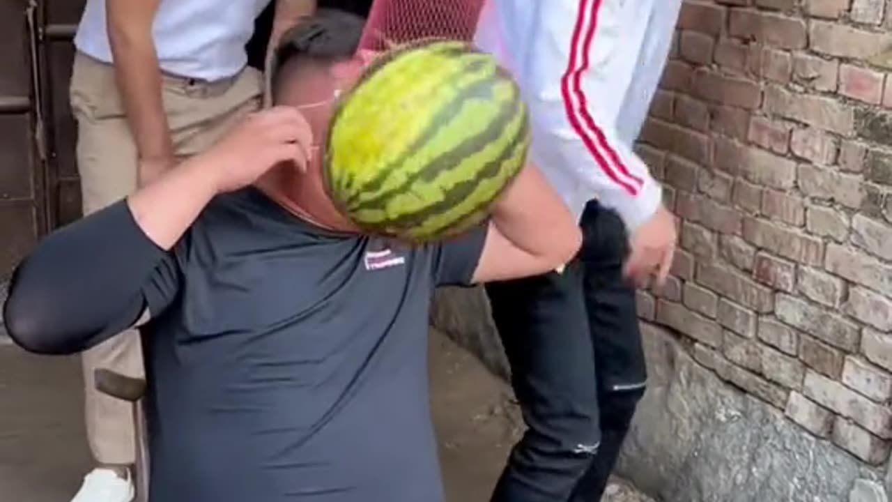 Funny vidéo