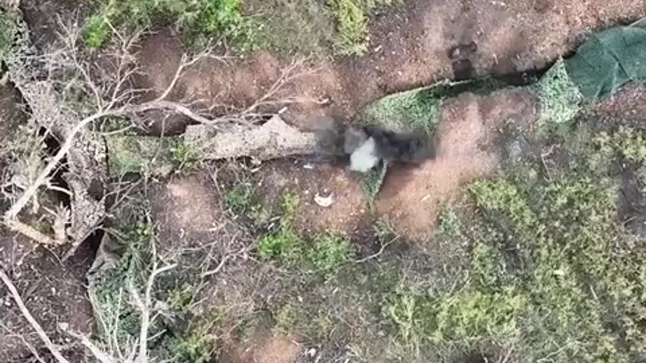 Incredible Footage of a Massive Ukrainian Assault on a Russian Trench Complex