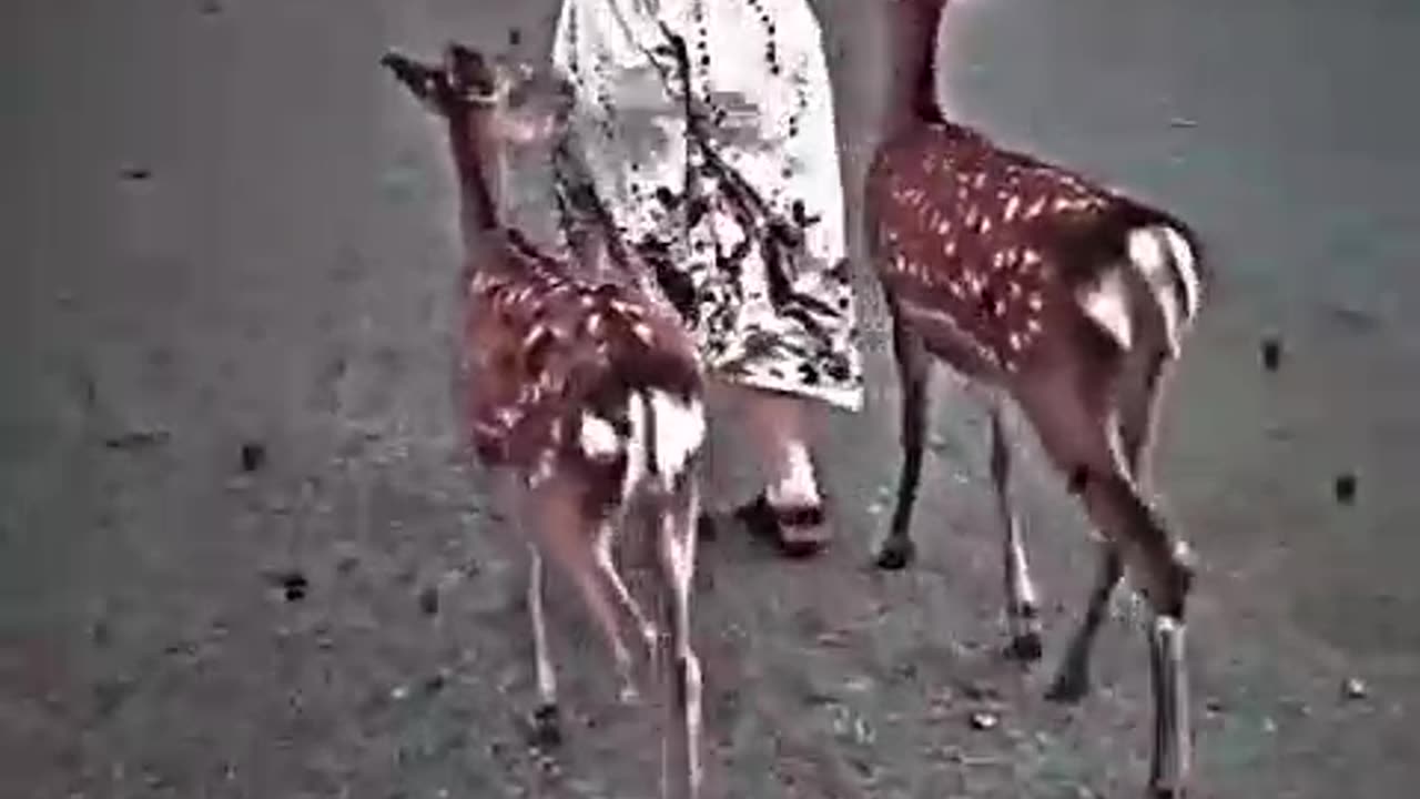 Heroine 🦌🦌