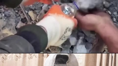 They save this dog