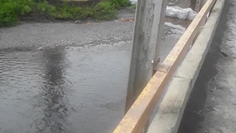 God is listening to us, President Trump, illegal resident Joe, time to go.