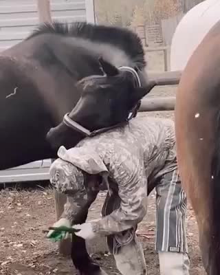 Лошадка,полностью доверилась..😍 😘 👏