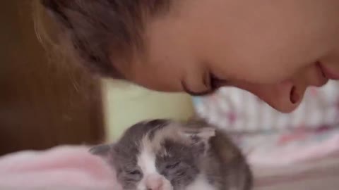Precious kitten lovingly gives kisses to puppy best friend 